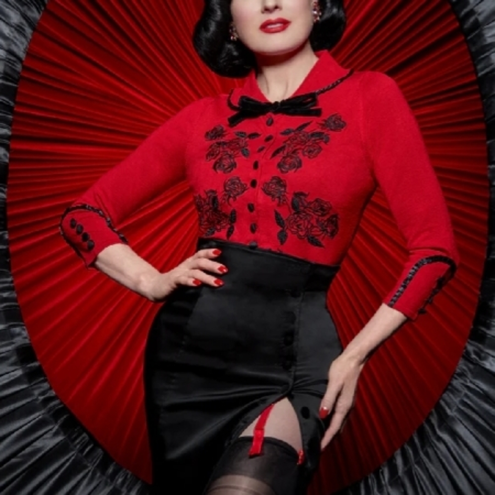 Elegant Red and Black Embroidered Dress